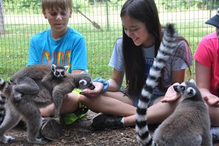 Cub Creek Animal Camp photo 1